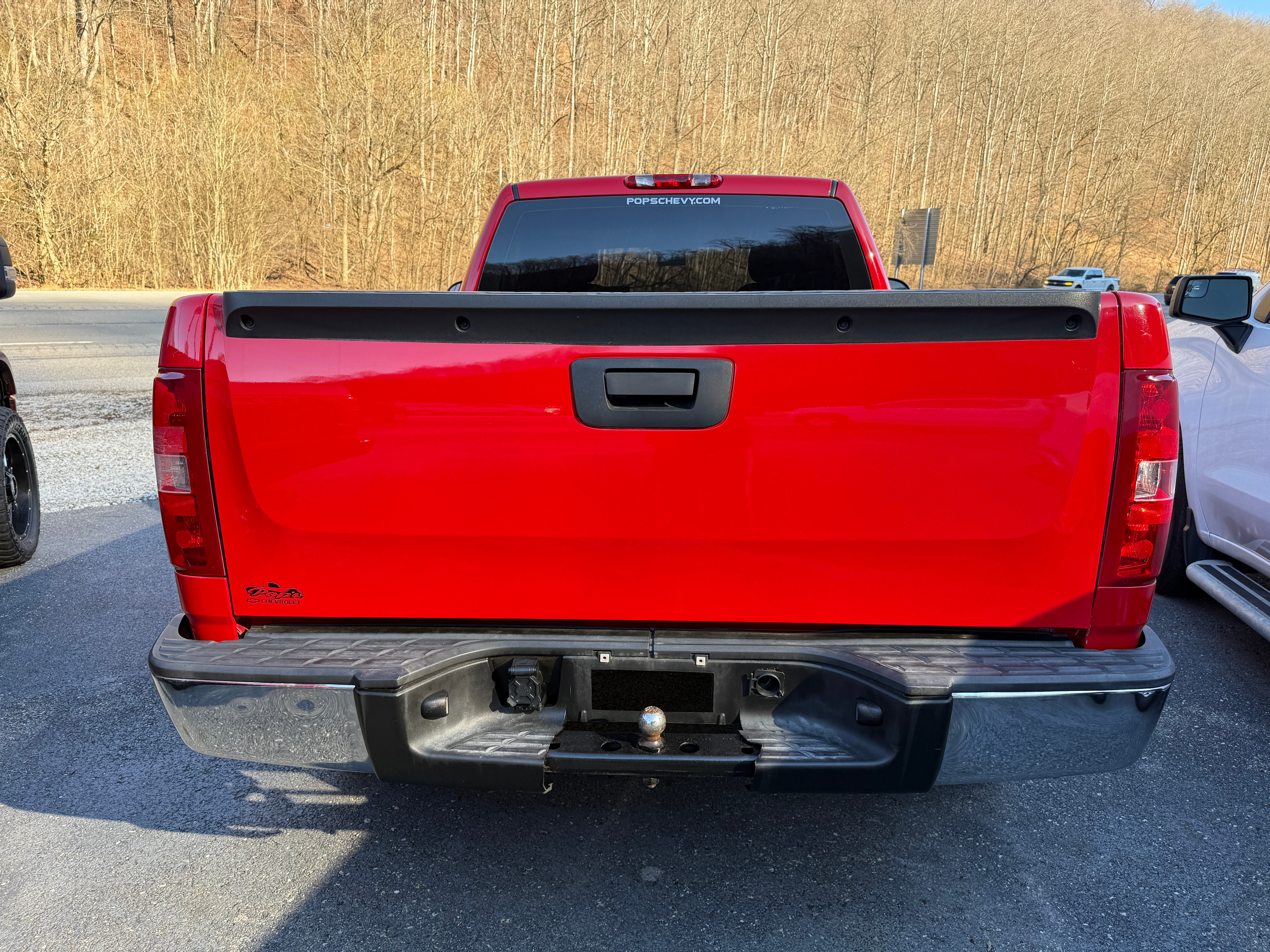 2010 Chevrolet Silverado 1500 Work Truck