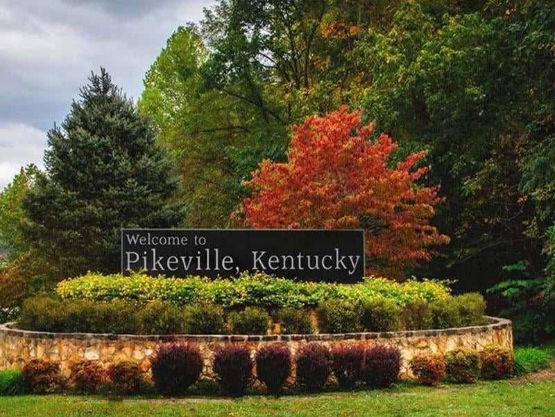 PIKEVILLE WINTER TREES GREENARY